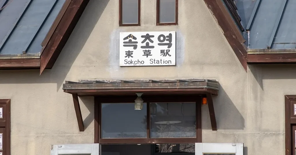 평범한 숙박 여행보다 무박 기차여행이 2026년 여름 당신에게 더 특별한 이유